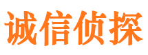 镜湖市侦探调查公司